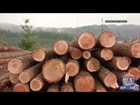 Roseburg Forest Products lays off 140, closes plant in Weed