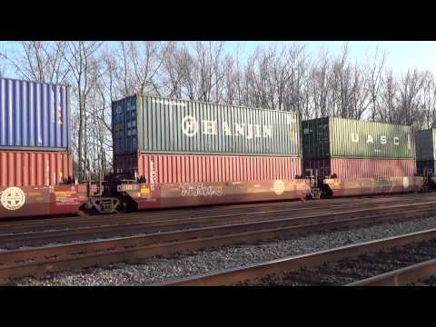 NS 8904 Leads the NS 236