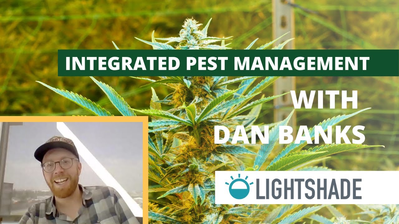 The Importance of Holistic IPM for Cannabis Operations | Interview with Dan Banks of Lightshade