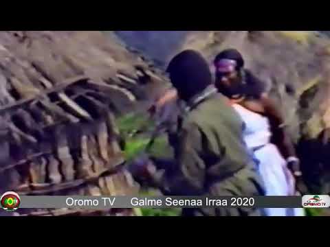 Maftuha Abbaasi fi Mussaa turkkii