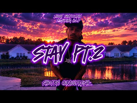 Ziggy Binfloxkin Music Video