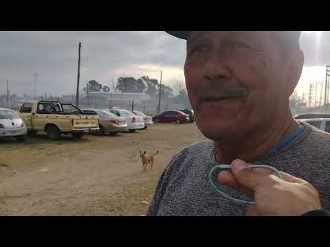 ¿Cómo se lleva a cabo el día a día en el Deportivo Paraguayo?