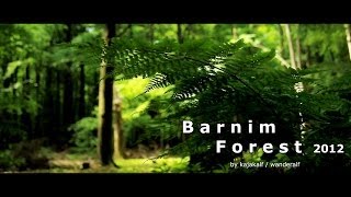 preview picture of video 'Barnimer Wälder im Mai 2012 | Barnim forests in Mai 2012'