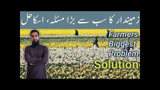 How to sell fruits and vegetables with high-profit |Problems faced by farmers (PART 1)