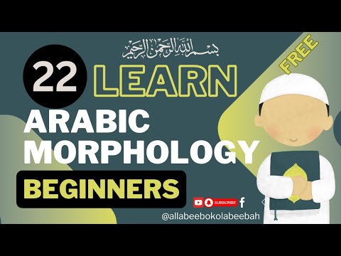 CLASS 22|  تصريف الاسم من حيث صحة آخره واعتلاله  | Mapping Arabic Morphology - الصرف Beginners Guide
