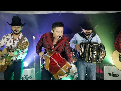 El Pavido Navido - Los Tercos Ft. Carlos y Jose Jr.