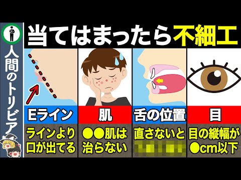 ブサクについて詳しく解説