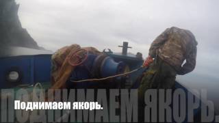 Где ловят палтуса на сахалине
