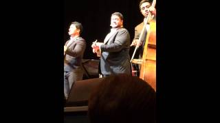 Sol3 mio yellow bird