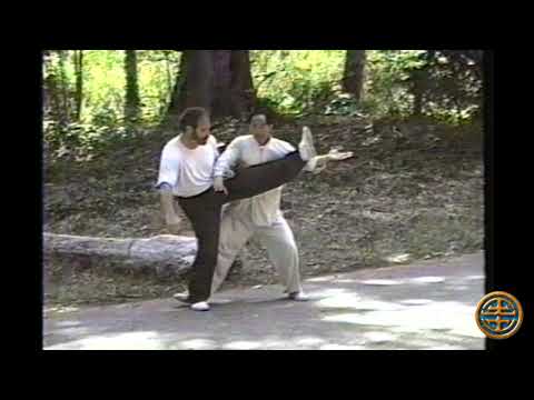 八卦掌 BAGUA ZHANG HAWK PALM APPLICATIONS