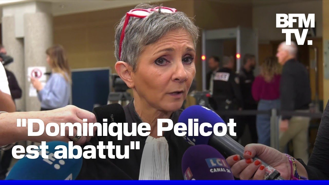 Procès des viols de Mazan: Dominique Pelicot risque 20 ans de réclusion criminelle