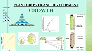 part 2, chapter 13, plant growth and development#neet #ncert #biology