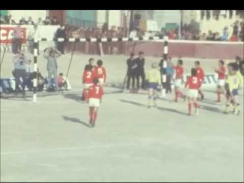 1974 FIFA World Cup Qualification - Malta v. Sweden (highlights)