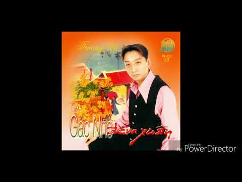 Rừng chưa thay lá Sheet - Trường Vũ