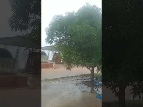 Muita chuva em Novo Aripuanã. ...