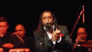 DIEGO EL CIGALA EN NEW YORK - MORENO SOY