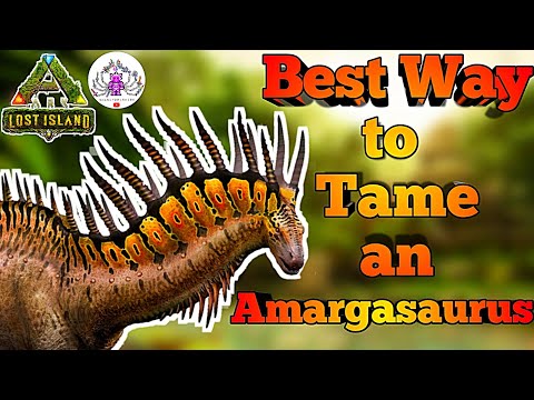 Quick Way to Tame an Amargasaurus! #ark Lost Island