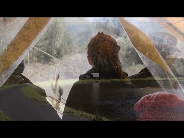 Paire de trait comtois