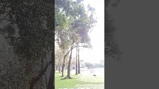 Lies of the Lonely, Nashville Cast