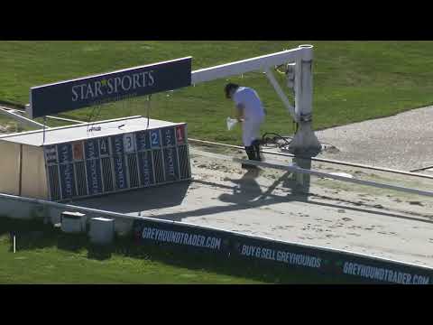 Signet Denver - The Star Sports & TRC English Greyhound Derby 2022 - Second Round