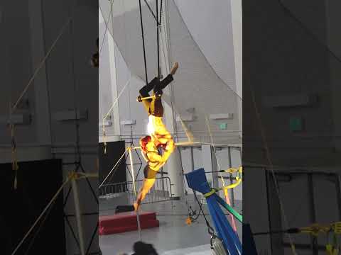 Salt Lake Circus Show