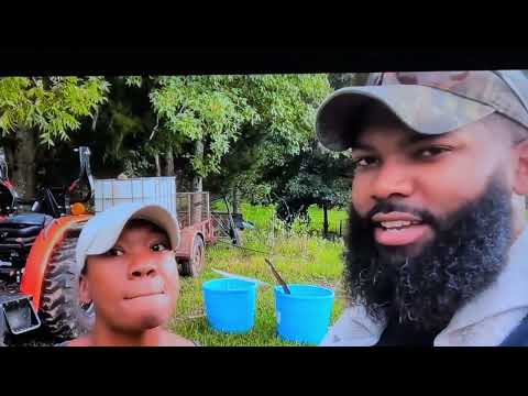 IAG FARMS PROOF GOD CAN WAIT AND TIM WHERE'S THE HOUSE VAULT