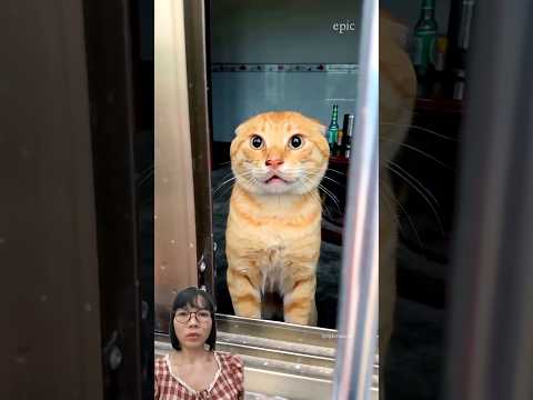 Anh không thể sống thiếu em #trendingshorts #trendingvideo #shorts #shortsviral #viralshorts