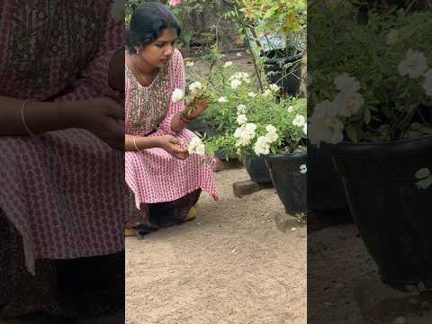 ചൂടോക്കെ അല്ലെ 🔥വെള്ളം കുടിച്ചിലേൽ പണി വരുന്ന വഴി അറിയില്ല 😎