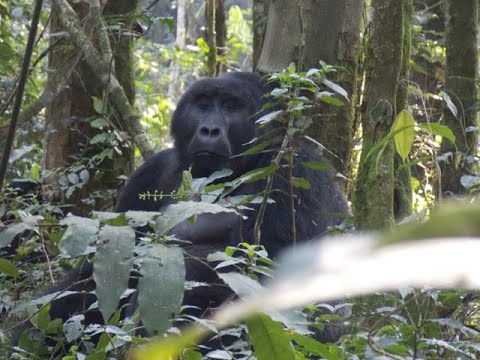 Birding in Kenya
