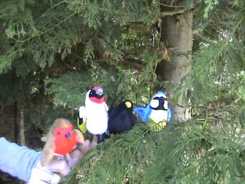 FINGERDUKKER HAVEFUGLE