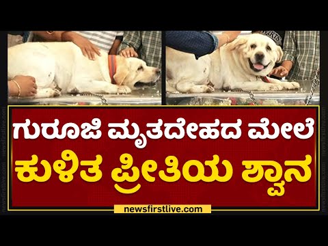 Dr Chandrashekar Guruji Dog : ಗುರೂಜಿ ಮೃತದೇಹದ ಮೇಲೆ ಕುಳಿತ ಪ್ರೀತಿಯ ಶ್ವಾನ | Saral Vaastu | NewsFirst