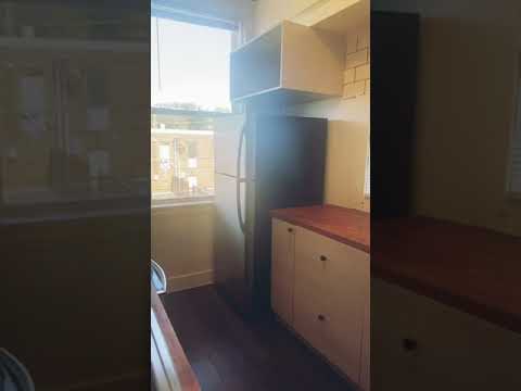 Wistaria - Video 2 of 2