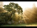 Llewellyn - Window of Love (Reiki music)