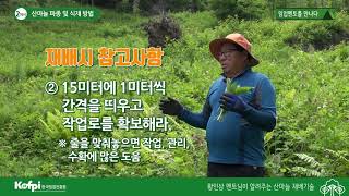 [산마늘2] 산마늘 파종 및 식재방법