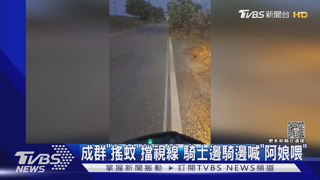 擋風玻璃的「天敵」！　男騎堤防喊「阿娘喂」成群搖蚊阻視線