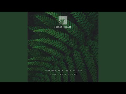 Psycho Acustic Journey 04