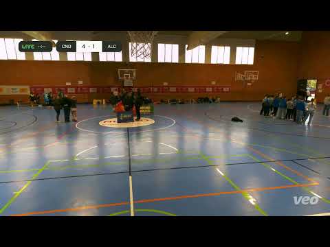 Campeonato de Andalucía Juvenil Femenino Hockey Sala.
