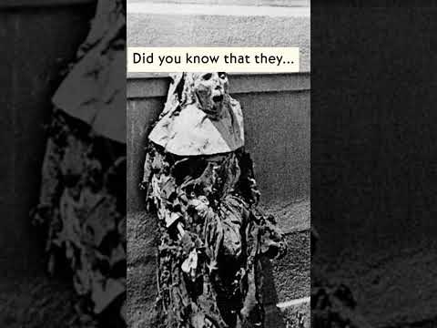 The Truth of the Spanish Civil War #catholic #christianity #history #spain