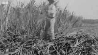 Church of England a former slave owner