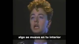 Stray Cats - I Won&#39;t Stand In Your Way [Subtitulada]