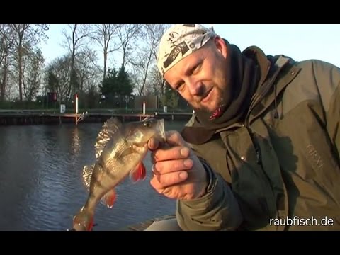 Spinnfischen mit Matze Koch