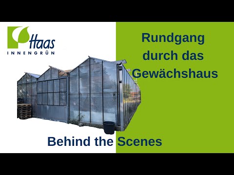 Rundgang durch das Gewächshaus. Kleiner Einblick in unser Lager für Blumentöpfe und Pflanzen