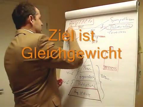 Prof.* Dr. nauk* Dr. med. Enrico Edinger - Regulation durch das autonome Nervensystem