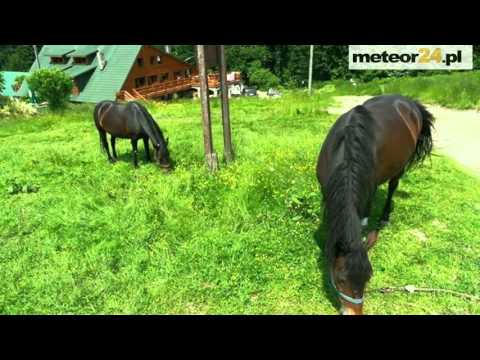 Ranczo Błatnia - Brenna meteor24.pl