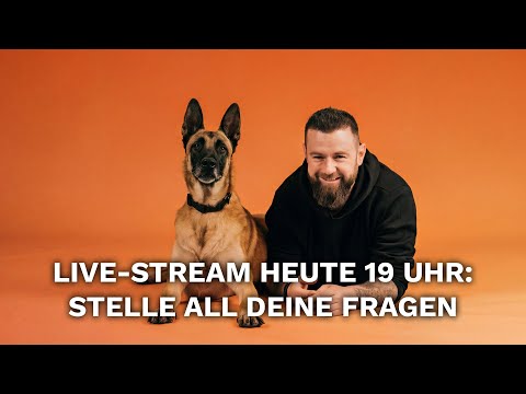 Livestream mit André Vogt - Stelle all deine Fragen
