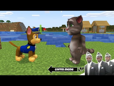 Talking Tom Cat vs Paw Patrol in Minecraft - Coffin Meme