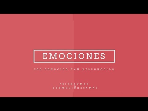 7 preguntas y respuestas sobre emociones e inteligencia emocional