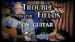 Maura O&#39;Connell&#39;s Trouble in the Fields on Guitar (with my cat)