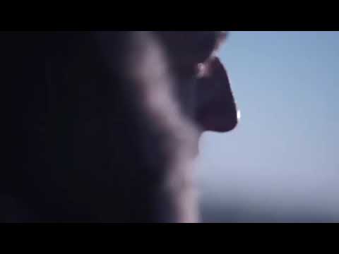 Tami, Zivenko Стану (snippet)