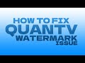 GTA 5 HOW TO FIX QUANTV WATERMARK ISSUE